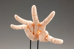 ARTIST SUPPORT ITEM Takahiro Kagami HAND MODEL/L PALE ORANGE 1/1 Action Figure