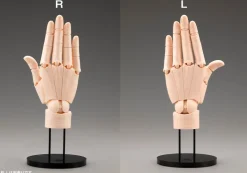 ARTIST SUPPORT ITEM Takahiro Kagami HAND MODEL/R PALE ORANGE 1/1 Action Figure