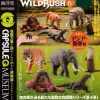 Kaiyodo Capsule Q Museum WILD RUSH Shin world fauna 4 Asia Gashapon 5 set figure