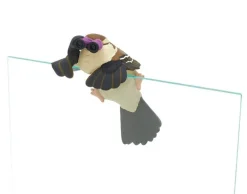 Kitan Club Small Bird’s Holiday Sniper Sparrow Complete Set Figure Capsule Toy