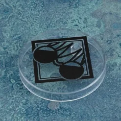 Nendoroid Jujutsu Kaisen Satoru Gojo High School Ver. Action Figure JAPAN