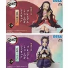 SEGA Demon Slayer Nezuko kamado Shinobu kocho Premium Chokonose Figure SET JAPAN